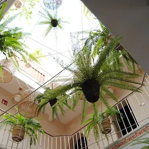 Casa de hóspedes Córdoba, Sevilha