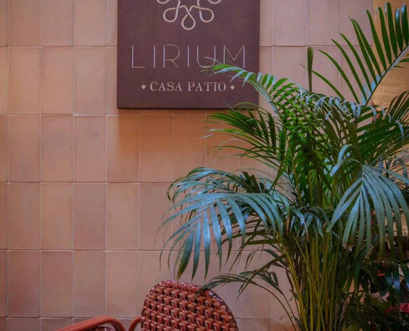 Maison d'hôtes Hotel Lirium Casa Patio à Séville Espagne